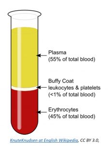 Picture showing the components of blood
