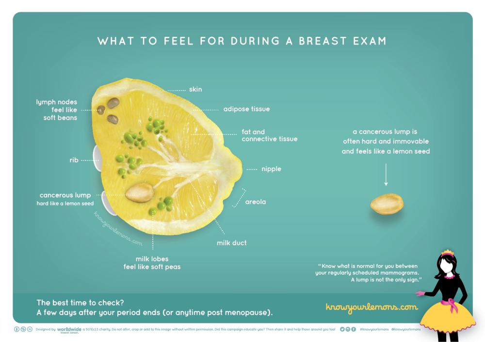 Description of a breast using a lemon infographic