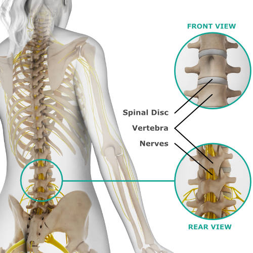 Mid & Upper Back Pain  Central Health Physiotherapy