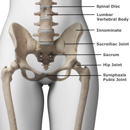 Mid & Upper Back Pain  Central Health Physiotherapy