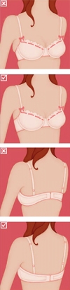 Does your bra fit correctly?  Central Health Physiotherapy