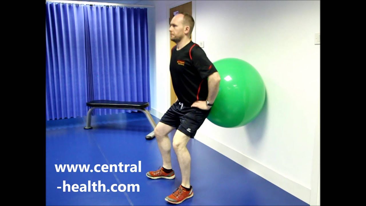 Squat with Gym Ball Exercise Video